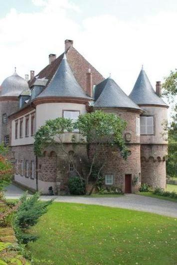 Gite Du Cerf Birkenwald Экстерьер фото