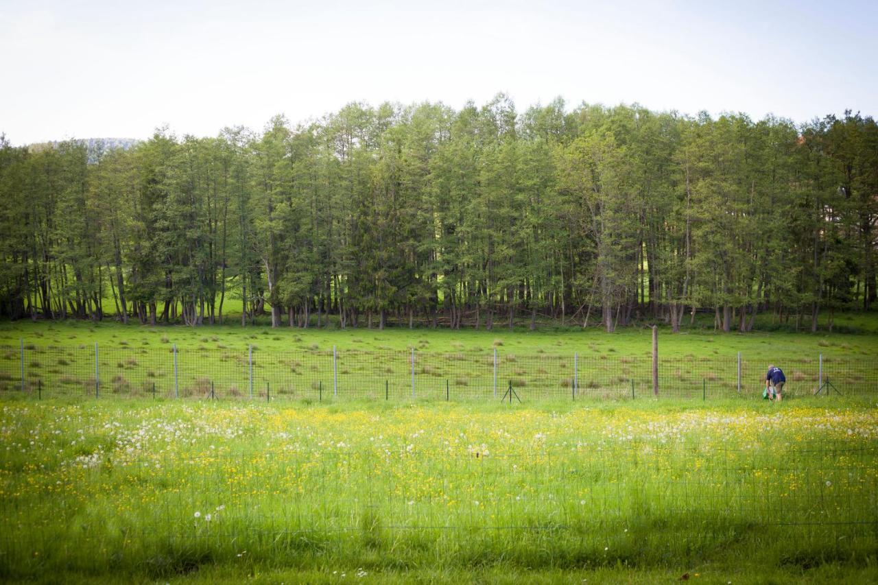 Gite Du Cerf Birkenwald Экстерьер фото