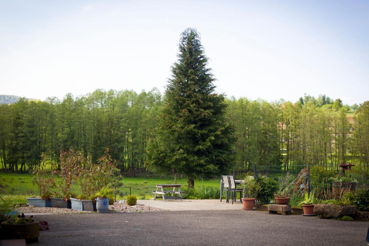 Gite Du Cerf Birkenwald Экстерьер фото